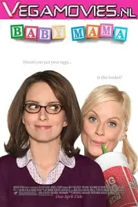 baby mama 2008 , TheMoviesFlix - TheMoviesFlix.Digital