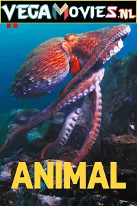 netflix animal season 1, TheMoviesFlix - TheMoviesFlix.Digital